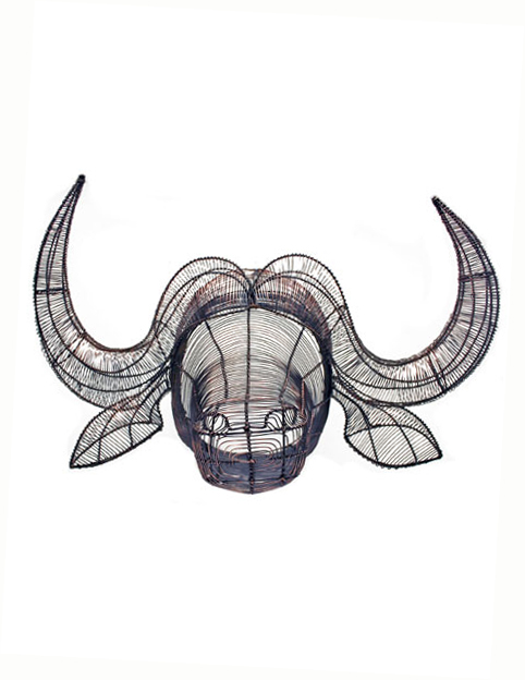 bufalo-head