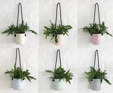Bespoke Stripes – Planting Container Bag – Size Small – Hanging – Growbag